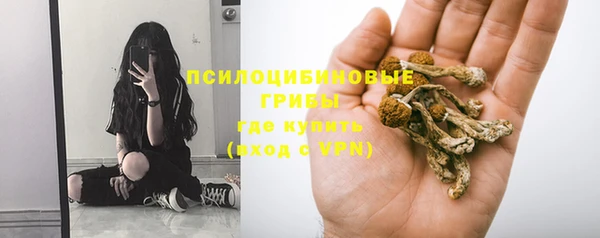 дживик Армянск