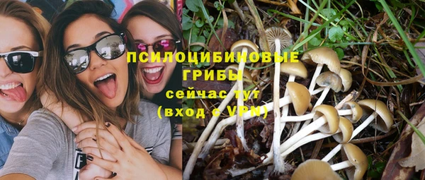 твердый Балабаново