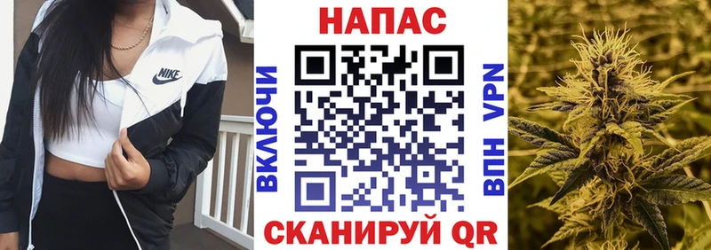 Каннабис OG Kush Саратов